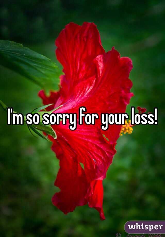 I'm so sorry for your loss! 