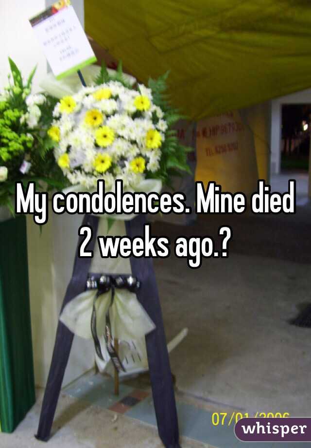 My condolences. Mine died 2 weeks ago.?