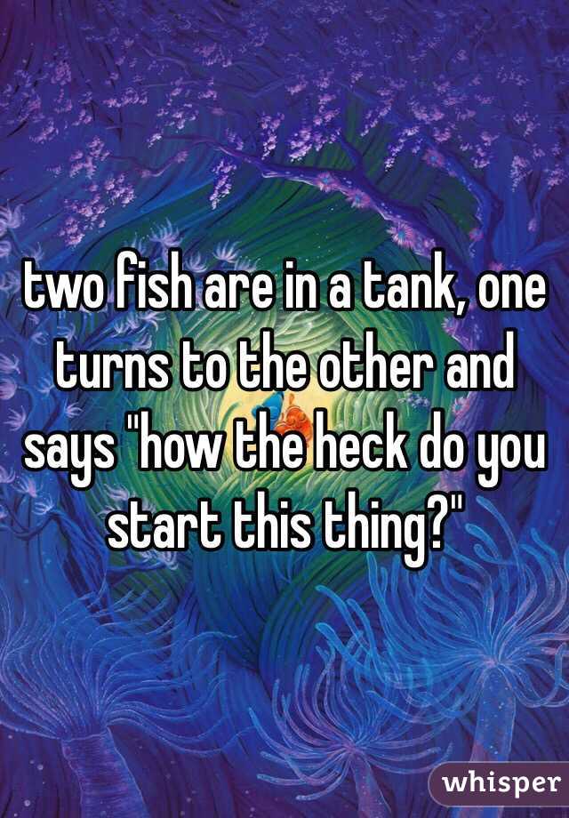 two fish are in a tank, one turns to the other and says "how the heck do you start this thing?" 