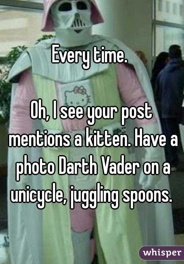 Every time. 

Oh, I see your post mentions a kitten. Have a photo Darth Vader on a unicycle, juggling spoons. 