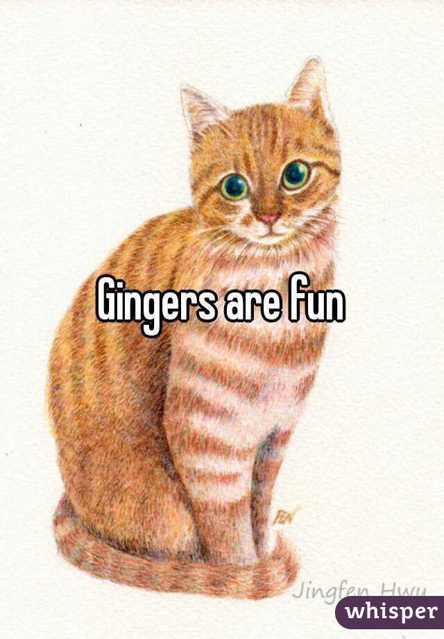 Gingers are fun