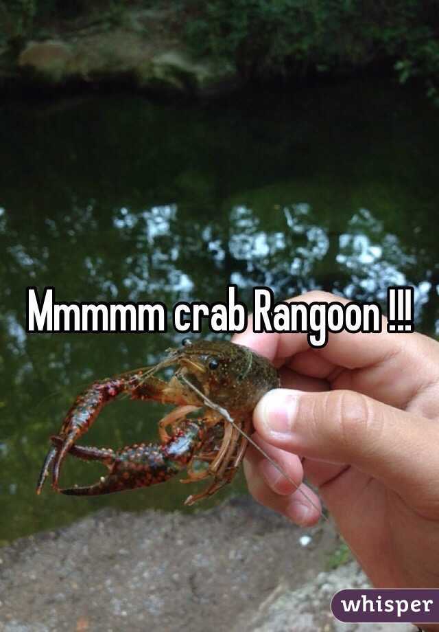 Mmmmm crab Rangoon !!!