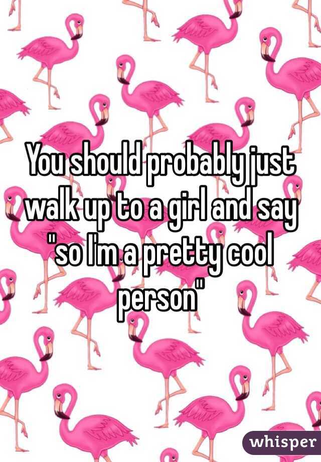 You should probably just walk up to a girl and say "so I'm a pretty cool person" 