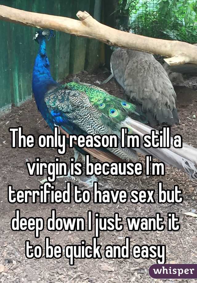 The only reason I'm still a virgin is because I'm terrified to have sex but deep down I just want it to be quick and easy