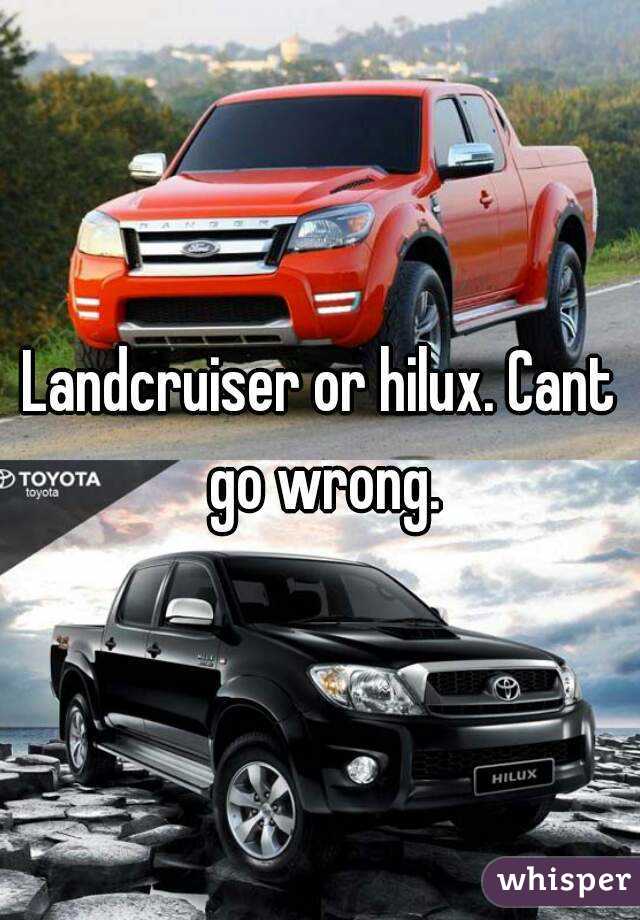 Landcruiser or hilux. Cant go wrong.