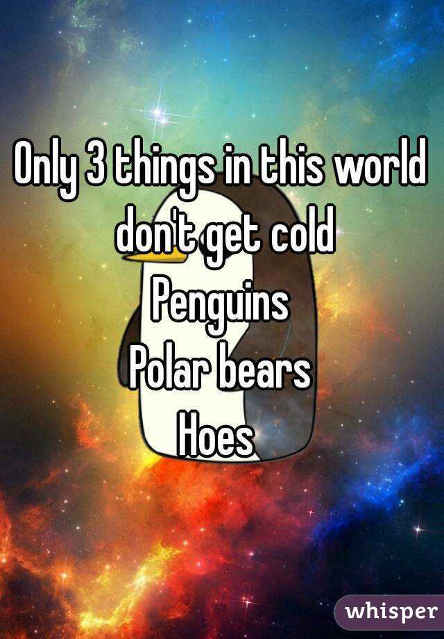 Only 3 things in this world don't get cold
Penguins
Polar bears
Hoes 