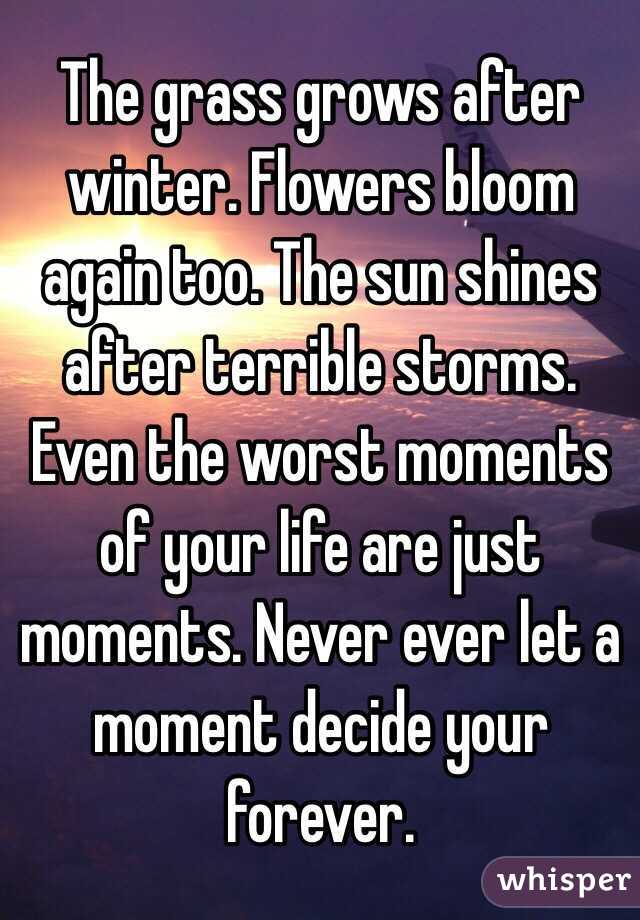 The grass grows after winter. Flowers bloom again too. The sun shines after terrible storms. Even the worst moments of your life are just moments. Never ever let a moment decide your forever. 