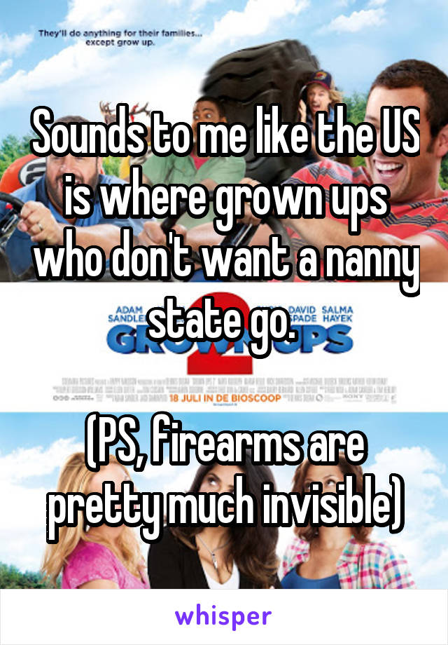 Sounds to me like the US is where grown ups who don't want a nanny state go. 

(PS, firearms are pretty much invisible)