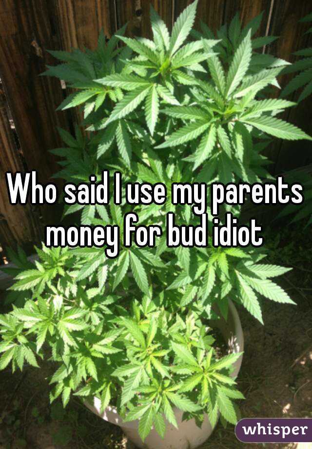 Who said I use my parents money for bud idiot 