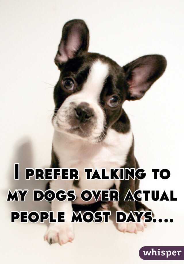 I prefer talking to my dogs over actual people most days....