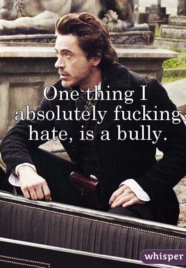 One thing I absolutely fucking hate, is a bully.
