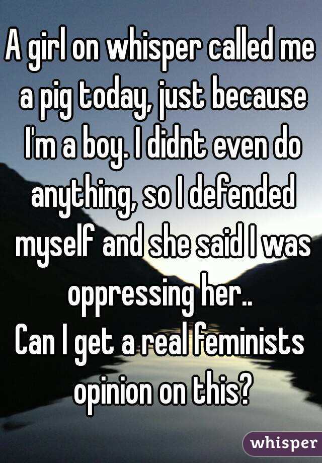 A girl on whisper called me a pig today, just because I'm a boy. I didnt even do anything, so I defended myself and she said I was oppressing her.. 
Can I get a real feminists opinion on this?