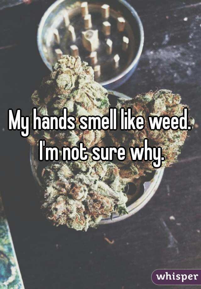 My hands smell like weed. I'm not sure why.