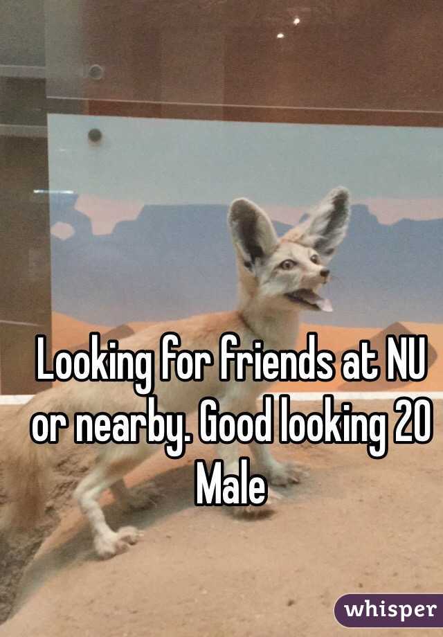 Looking for friends at NU or nearby. Good looking 20 Male 