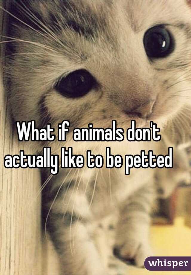 What if animals don't actually like to be petted