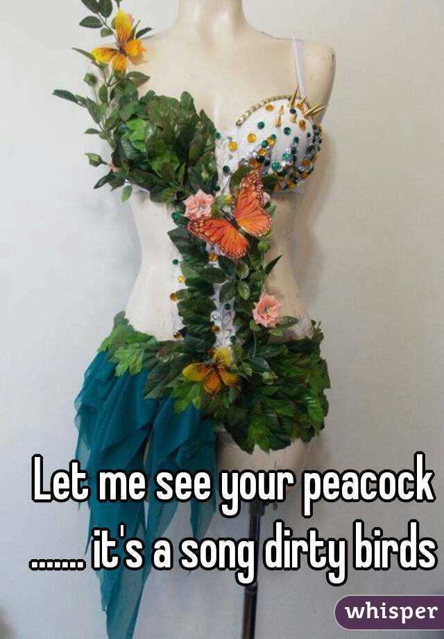 Let me see your peacock
....... it's a song dirty birds