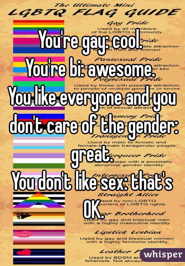 You're gay: cool. 
You're bi: awesome. 
You like everyone and you don't care of the gender: great. 
You don't like sex: that's OK.

