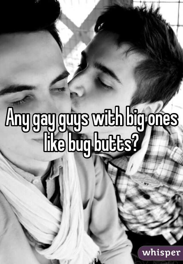 Any gay guys with big ones like bug butts?