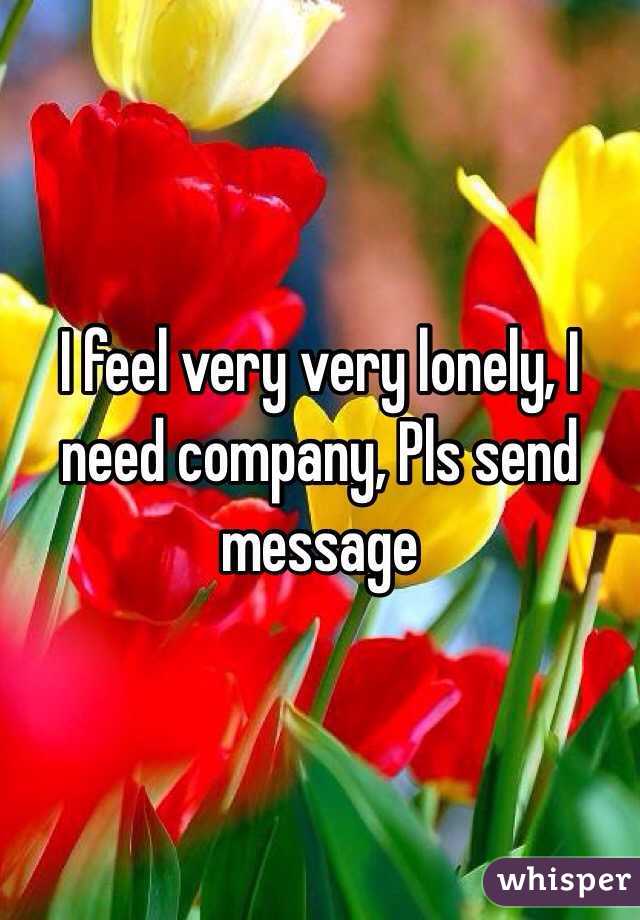 I feel very very lonely, I need company, Pls send message 