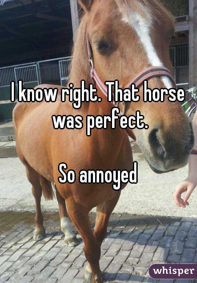 I know right. That horse was perfect.

So annoyed