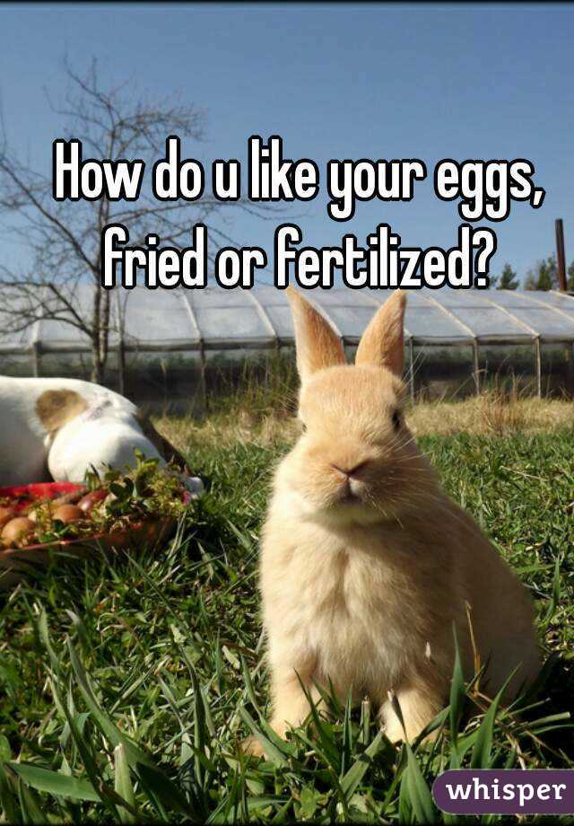 How do u like your eggs, fried or fertilized? 