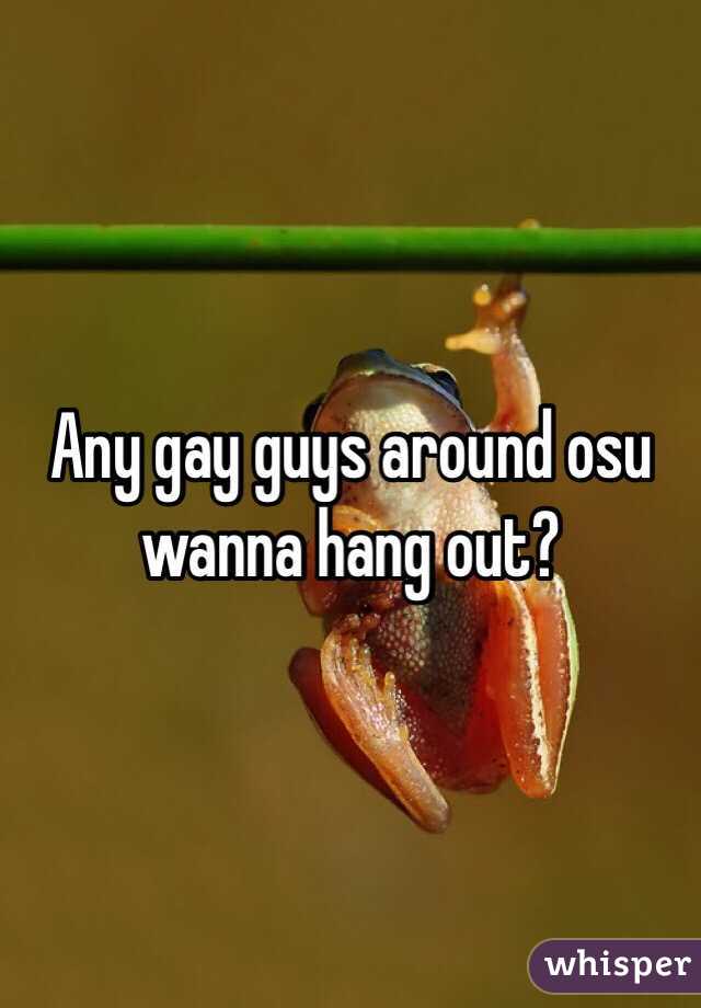 Any gay guys around osu wanna hang out?