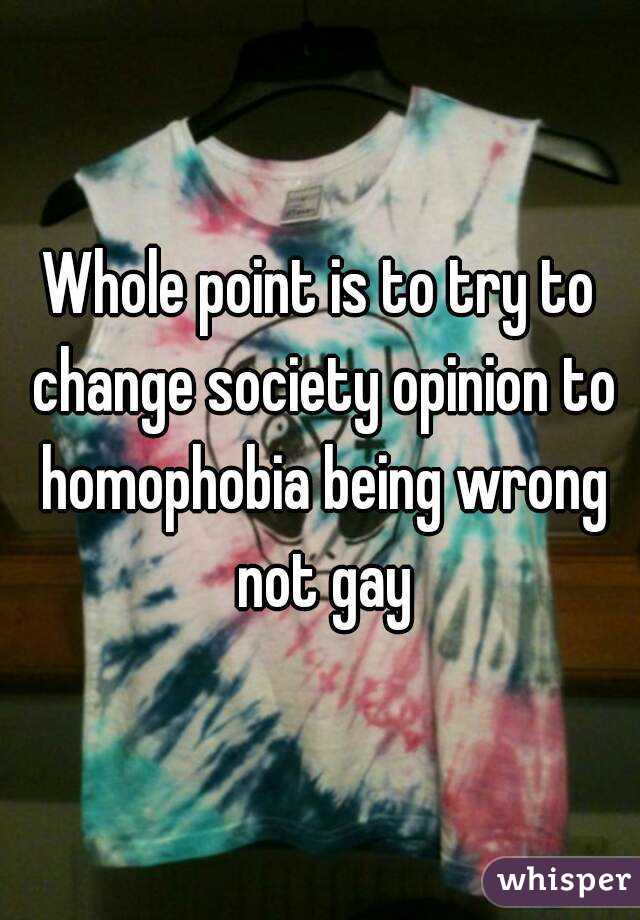 Whole point is to try to change society opinion to homophobia being wrong not gay