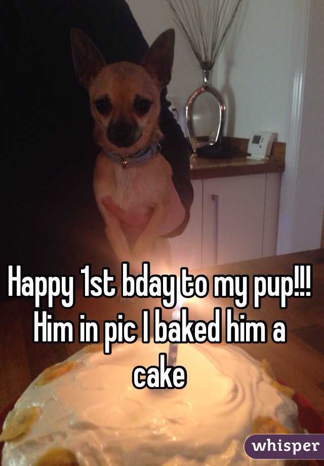 Happy 1st bday to my pup!!! Him in pic I baked him a cake 