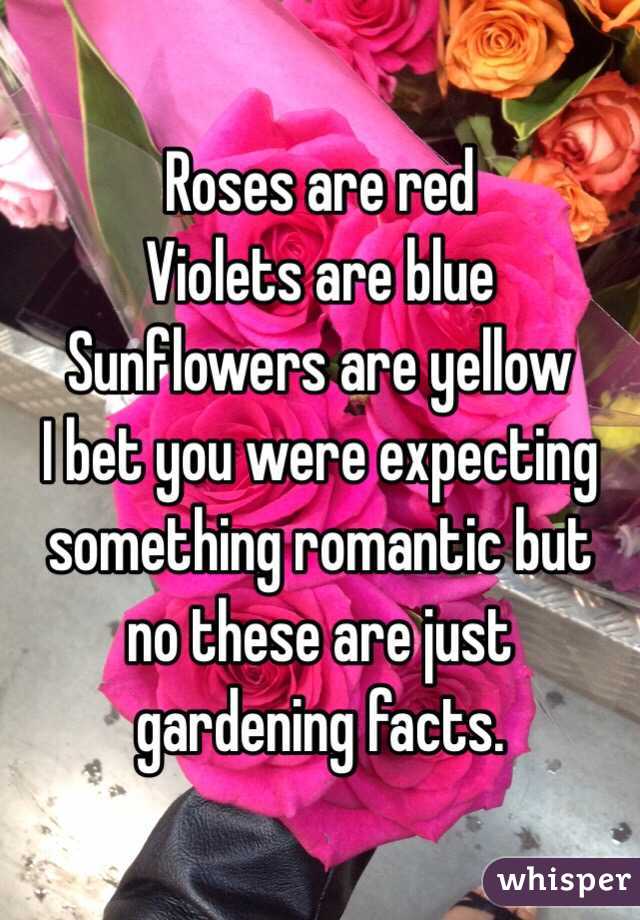 Roses are red
Violets are blue
Sunflowers are yellow
I bet you were expecting something romantic but no these are just gardening facts.