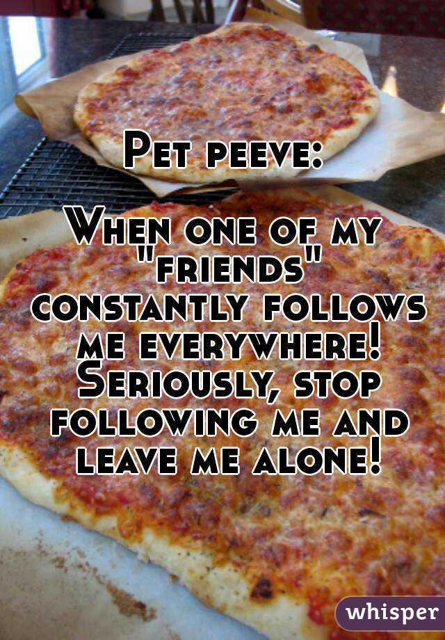 Pet peeve:

When one of my "friends" constantly follows me everywhere! Seriously, stop following me and leave me alone!