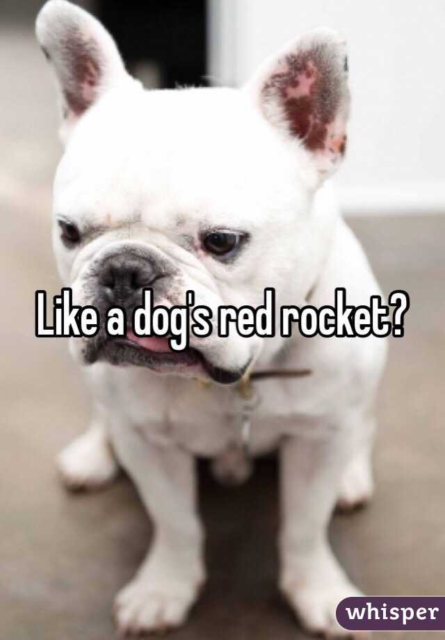 Like a dog's red rocket?