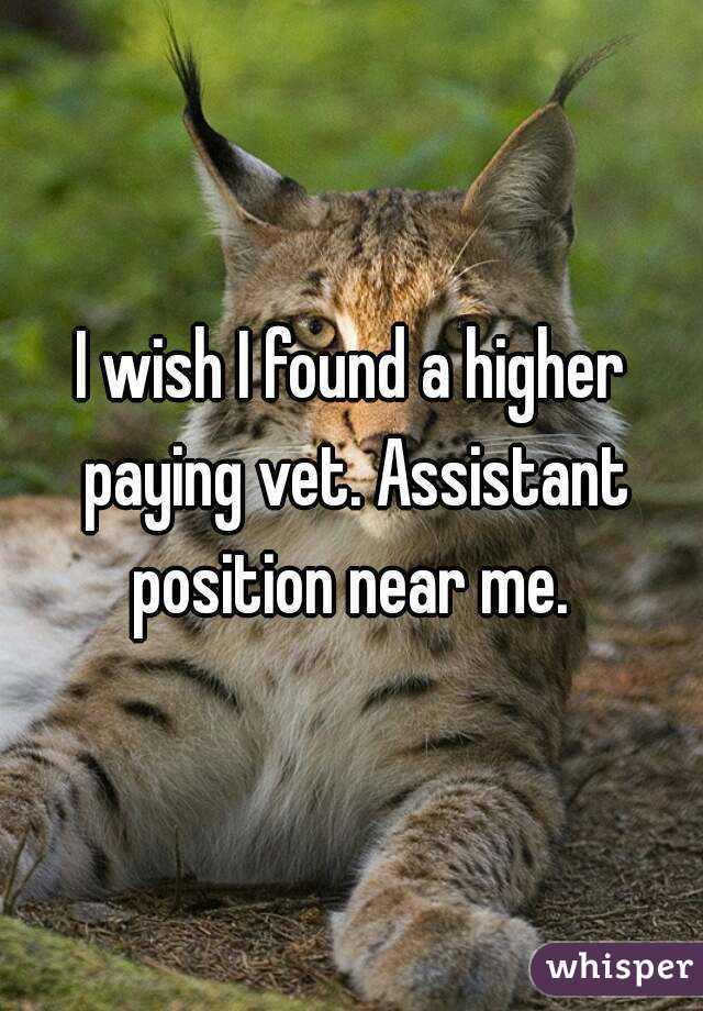 I wish I found a higher paying vet. Assistant position near me. 