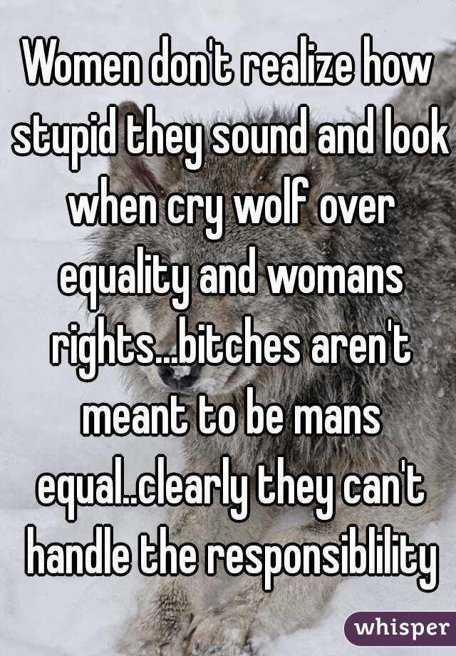 Women don't realize how stupid they sound and look when cry wolf over equality and womans rights...bitches aren't meant to be mans equal..clearly they can't handle the responsiblility