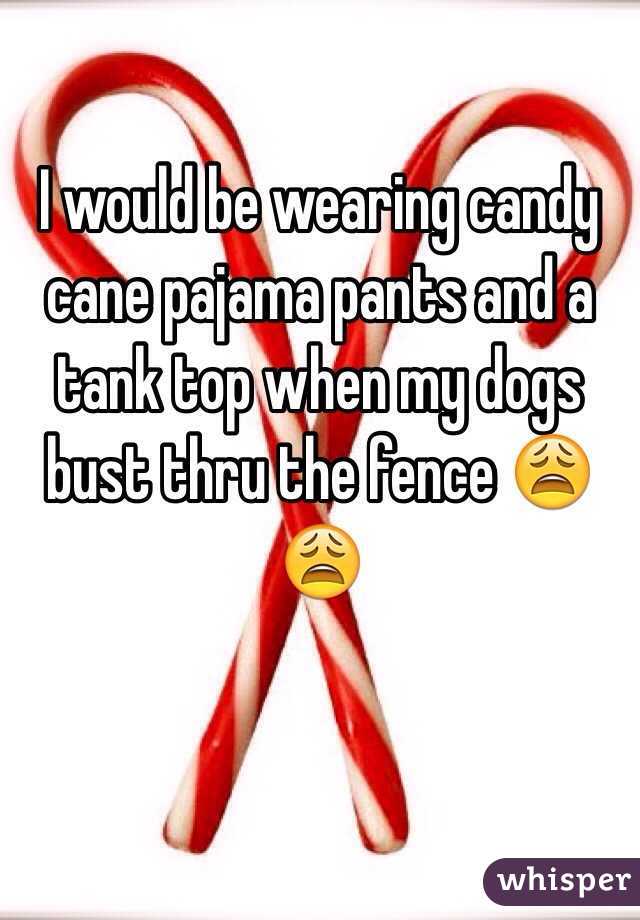 I would be wearing candy cane pajama pants and a tank top when my dogs bust thru the fence 😩😩