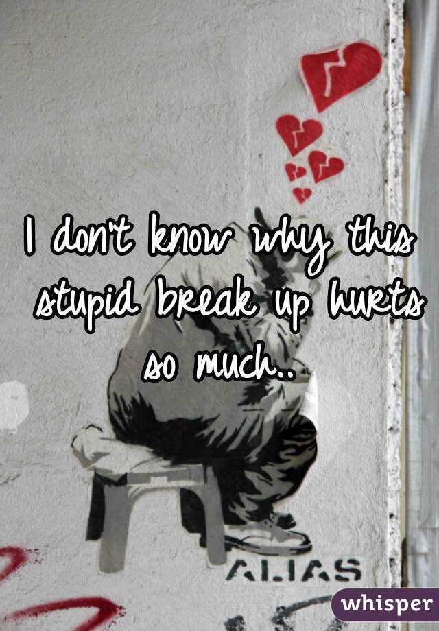 I don't know why this stupid break up hurts so much.. 