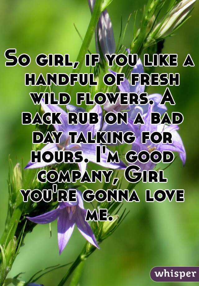 So girl, if you like a handful of fresh wild flowers. A back rub on a bad day talking for hours. I'm good company, Girl you're gonna love me. 