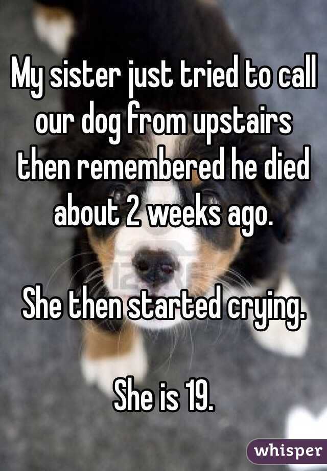 My sister just tried to call our dog from upstairs then remembered he died about 2 weeks ago.

She then started crying.

She is 19.