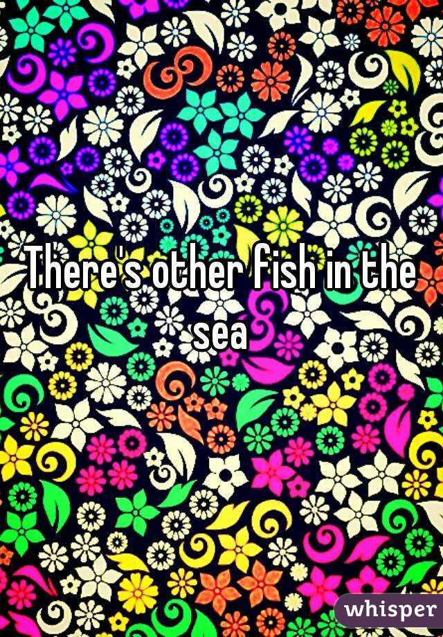 There's other fish in the sea 