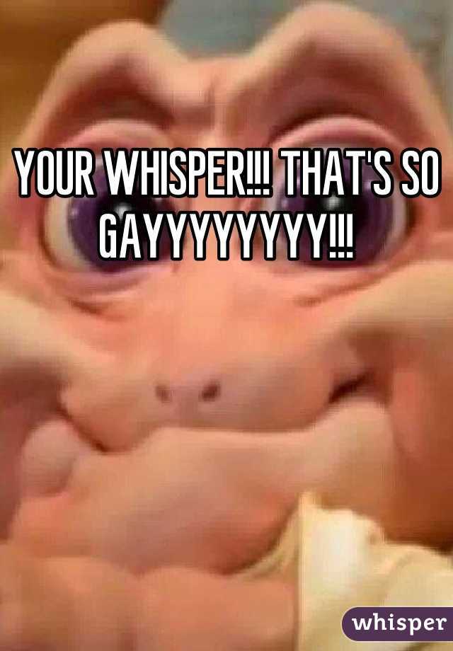 YOUR WHISPER!!! THAT'S SO GAYYYYYYYY!!!