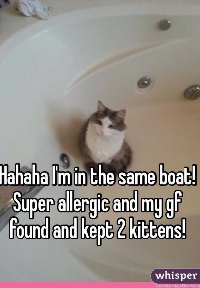 Hahaha I'm in the same boat! Super allergic and my gf found and kept 2 kittens! 