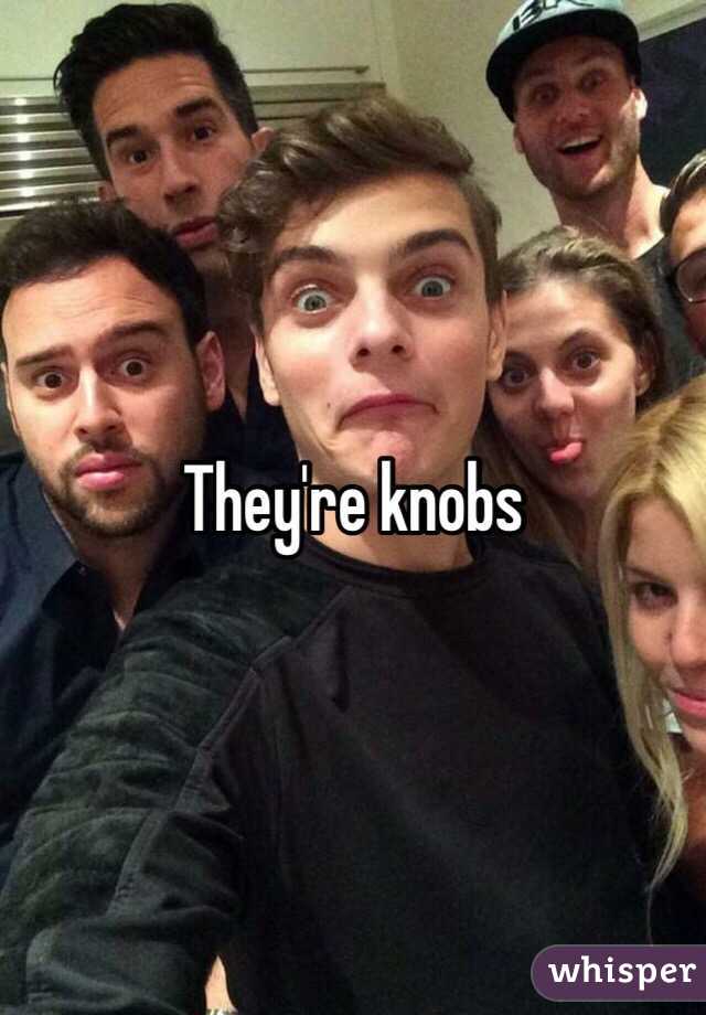 They're knobs