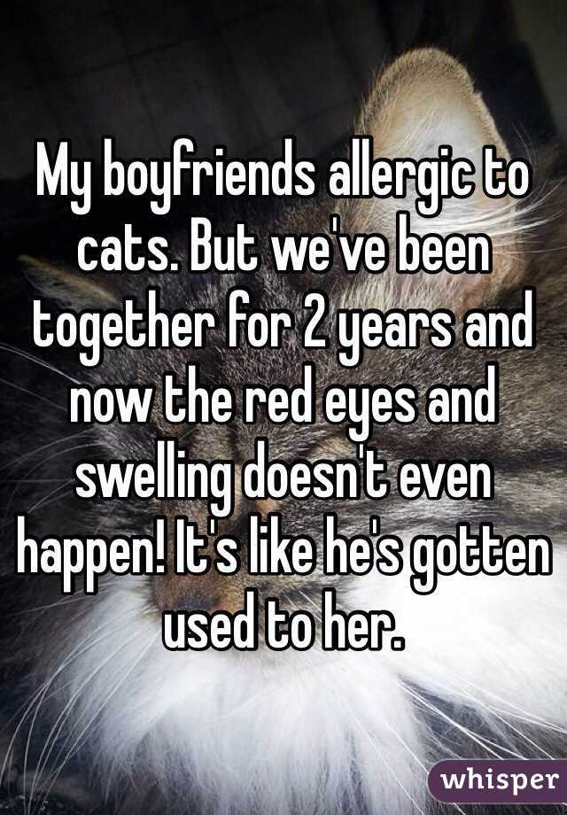 My boyfriends allergic to cats. But we've been together for 2 years and now the red eyes and swelling doesn't even happen! It's like he's gotten used to her. 