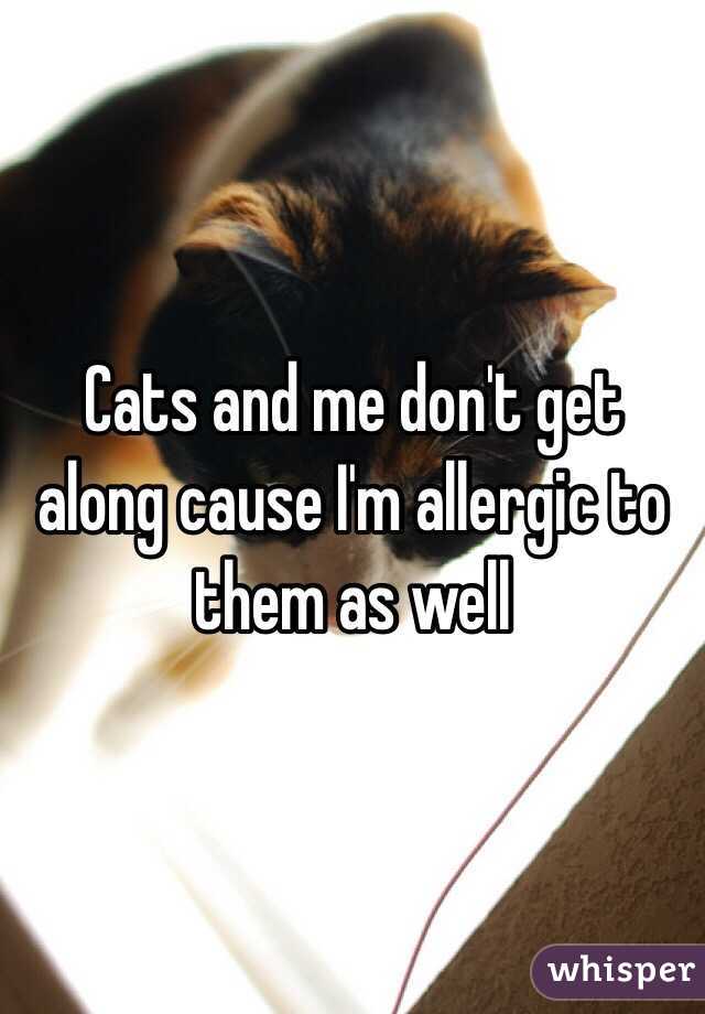 Cats and me don't get along cause I'm allergic to them as well
