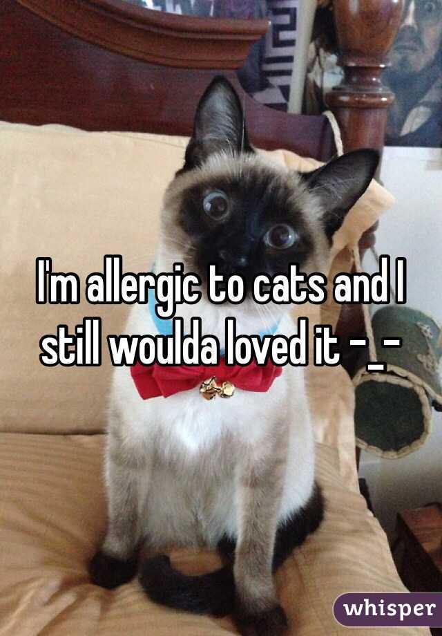I'm allergic to cats and I still woulda loved it -_-