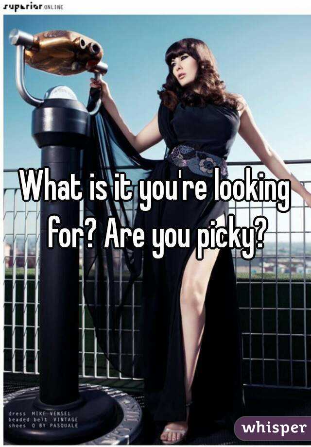 What is it you're looking for? Are you picky?