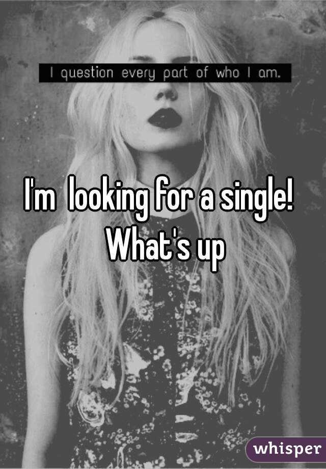 I'm  looking for a single!  What's up