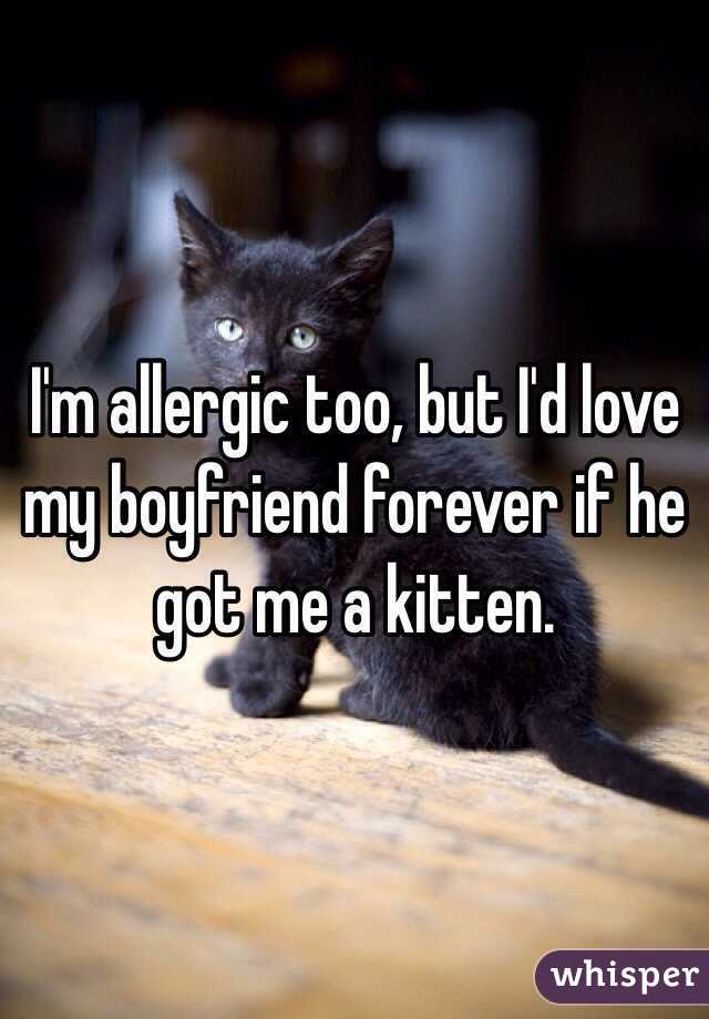 I'm allergic too, but I'd love my boyfriend forever if he got me a kitten.