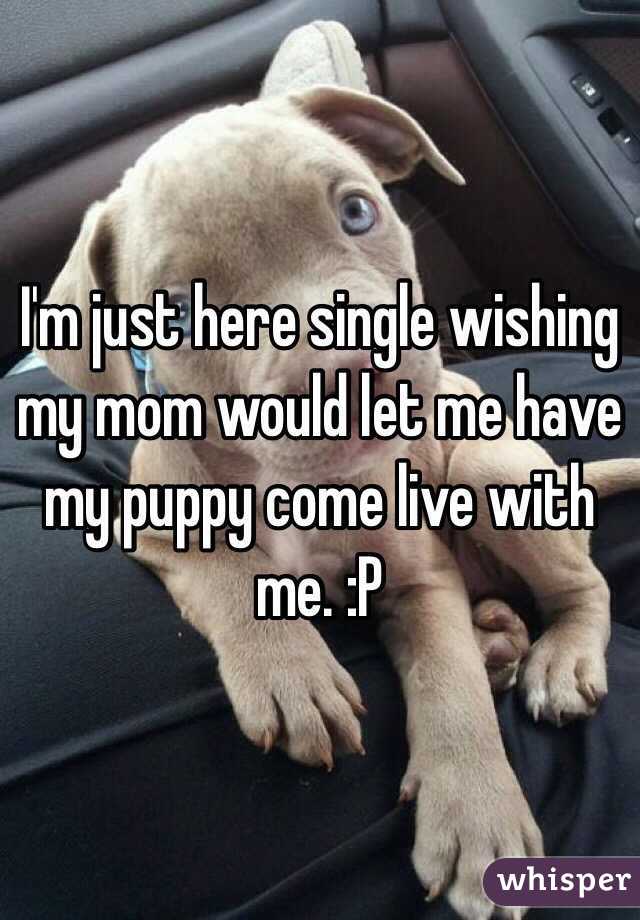 I'm just here single wishing my mom would let me have my puppy come live with me. :P