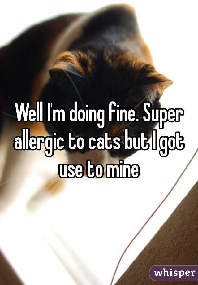 Well I'm doing fine. Super allergic to cats but I got use to mine