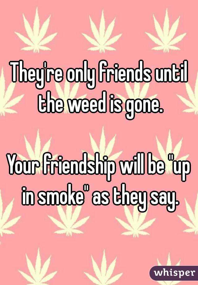 They're only friends until the weed is gone.

Your friendship will be "up in smoke" as they say.
